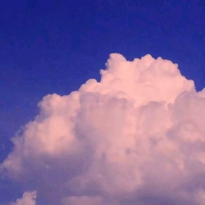 博鱼·体育中国入口下载手机版