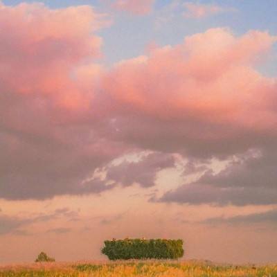 kok下载-登录入口