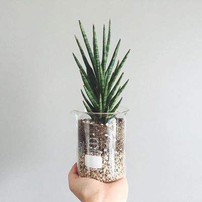 皇冠·app手机app下载