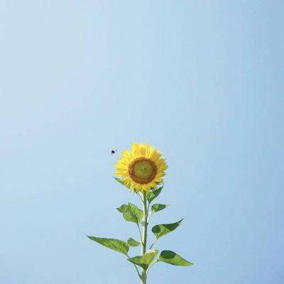 NG体育APP官方下载网址下载手机版