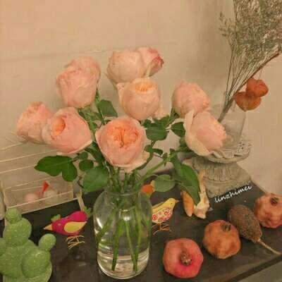 乐鱼app官网下载官方版