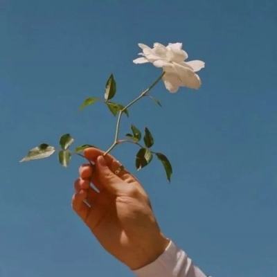 狗万manbetapp下载