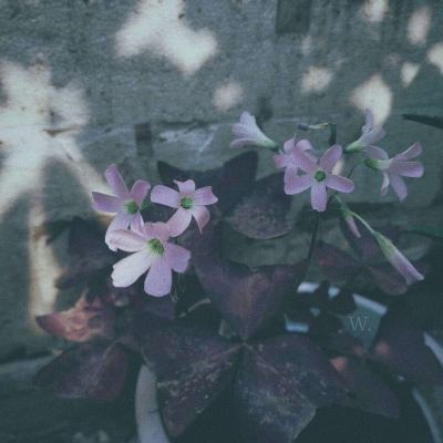 博鱼电竞下载手机版