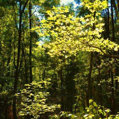 购彩中心welcome官网下载手机版